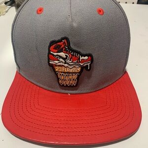 Gray and Red Cap with Jordan Sneaker logo